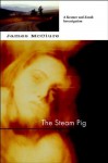 Steam Pig: A Lieutenant Kramer and Detective Sergeant Mickey Zondi Investigation (Kramer and Zondi Investigations Set in South Africa) - James McClure