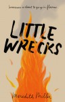 Little Wrecks - Meredith Miller