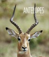 Living Wild: Antelopes - Melissa Gish