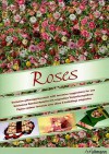 Roses: Exclusive Giftwrapping Paper With Inventive Suggestions For Use - H.F. Ullmann