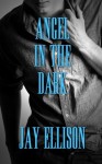 Angel in the Dark (The Dollhouse Society #14) - Jay Ellison