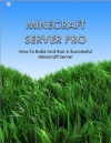 Minecraft Server Pro - Shane Peterson