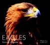 Eagles - Rebecca L. Grambo