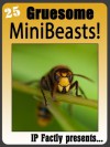 25 Gruesome MiniBeasts! Amazing facts, photos and video links to some of the most grisly creatures on the planet! (25 Amazing Animals Series) - IP Factly, IC Wildlife