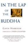 In the Lap of the Buddha - Gavin Harrison, Joseph Goldstein