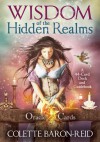 Wisdom of the Hidden Realms Oracle Cards: A 44-Card Deck and Guidebook - Colette Baron-Reid, Jena DellaGrottaglia