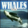 Whales for Kids - Tom Wolpert