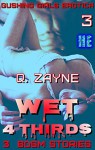 Wet 4 Thirds: 3 BDSM Stories (Gushing Girls Erotica) - Q. Zayne