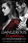 Dangerous Temptations: Temptations Series Book One: The Gallagher Family - Annie Jocoby