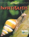 Invertebrates - Gareth Stevens Publishing, Kathleen Feeley