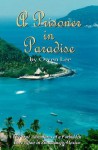 A Prisoner In Paradise: The True Adventures of a Forbidden Love Affair In Zihuatanejo, Mexico - Owen Lee