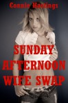 Sunday Afternoon Wife Swap: A Group Sex Erotica Story - Connie Hastings