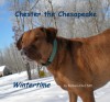 Chester The Chesapeake: Wintertime - Barbara Ebel