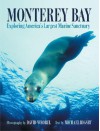 Monterey Bay: Exploring the Nation's Largest Marine Sancutuary - Michael Rigsby, Michael Rigsby, David Wrobel