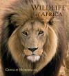 Wildlife of Africa - Gerald Hoberman