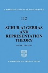 Schur Algebras and Representation Theory - Stuart Martin