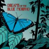 Dreams of the Blue Morpho (Jack Flanders, #15) - Meatball Fulton