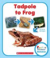 Tadpole to Frog - Lisa M Herrington