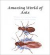 Amazing World Of Ants - Francene Sabin