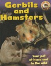 Gerbils and Hamsters - Sally Morgan