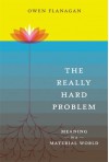 The Really Hard Problem: Meaning in a Material World (Bradford Books) by Flanagan Owen (2009-02-13) Paperback - Flanagan Owen