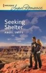 Seeking Shelter (Harlequin Super Romance) - Angel Smits