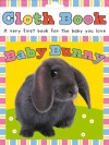 Cloth Book Baby Bunny - Roger Priddy