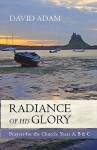 The Radiance of His Glory: Prayers for the Church - Years A, B and C - David Adam