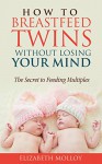 How to Breastfeed Twins Without Losing Your Mind: The Secret to Feeding Multiples - Elizabeth Molloy