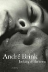 Looking on Darkness - André Brink