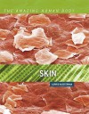 Skin - Lorrie Klosterman