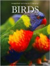 Birds (snapshot, picture, library) - John Owen