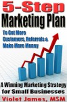 5 Step Marketing Plan: A Winning Marketing Strategy for Small Businesses - Violet James