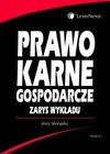 Prawo karne gospodarcze : zarys wykładu - Jerzy Skorupka