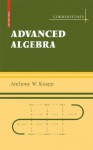 Basic Algebra/Advanced Algebra 2-Volume Set - Anthony W. Knapp