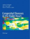 Congenital Diseases in the Right Heart - Andrew N. Redington, Glen Arsdell, Robert H. Anderson