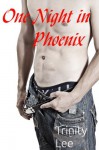 One Night in Phoenix - Trinity Lee