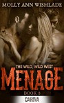 Menage (The Wild, Wild West, Book 3) - Molly Ann Wishlade