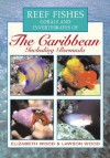 Reef Fishes Corals and Invertebrates of the Caribbean : A Diver's Guide - Elizabeth Wood, Lawson Wood