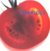 Tomatoes - Southwater Publishing