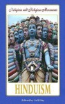 Hinduism (Religions and Religious Movements) - Jeff T. Hay