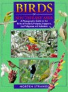 Birds Of South East Asia: A Photographic Guide To The Birds Of Thailand, Malaysia, Singapore, The Philippines And Indonesia - Morten Strange