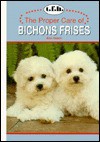 Proper Care Bichon Frise - Ann Hearn