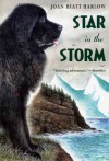 Star in the Storm (Aladdin Historical Fiction) - Joan Hiatt Harlow