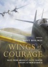 Wings of Courage: Tales from America's Elite Fighter Groups of World War II (General Aviation) - Tony Holmes