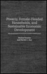 Poverty, Female-headed Households and Sustainable Economic Development (Contributions in Economics & Economic History) - Nerina Vecchio, Kartik C. Roy