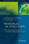 Principles of Evolution: From the Planck Epoch to Complex Multicellular Life - Hildegard Meyer-Ortmanns, Stefan Thurner