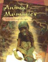 Animal Mummies: Preserved Through the Ages - Charlotte Wilcox