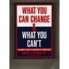 What You Can Change And What You Can't: The Complete Guide to Successful Self-Improvement - Martin E.P. Seligman