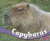 Capybaras - Mary R. Dunn